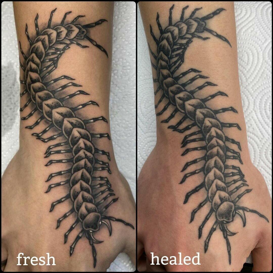 Inksearch tattoo Agahtattooer