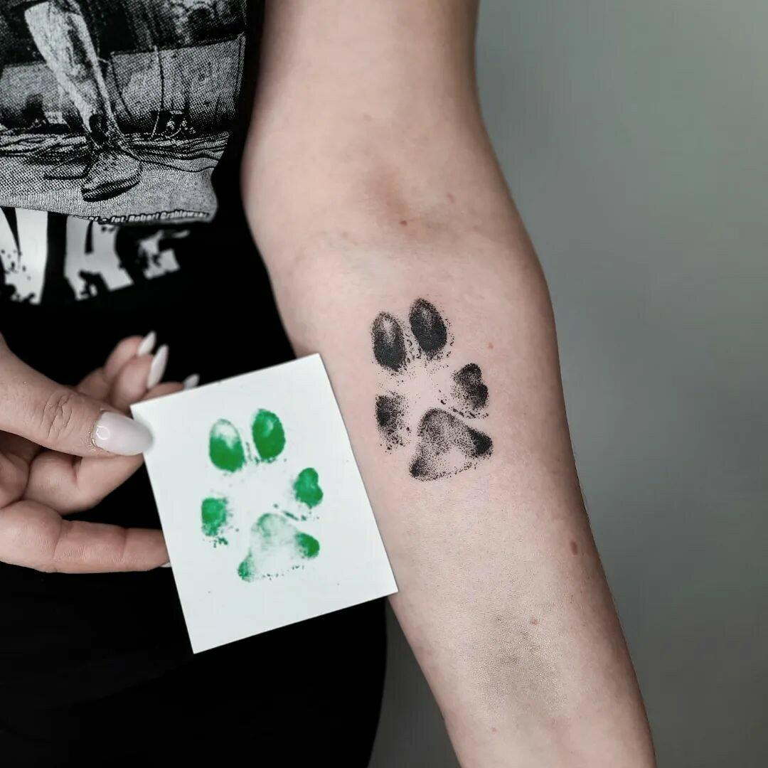 Inksearch tattoo Koti Tattoo Anna Pękala