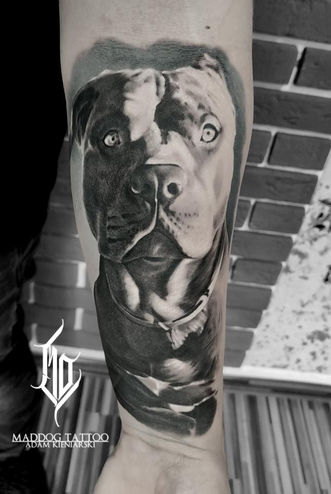 Inksearch tattoo MadDog