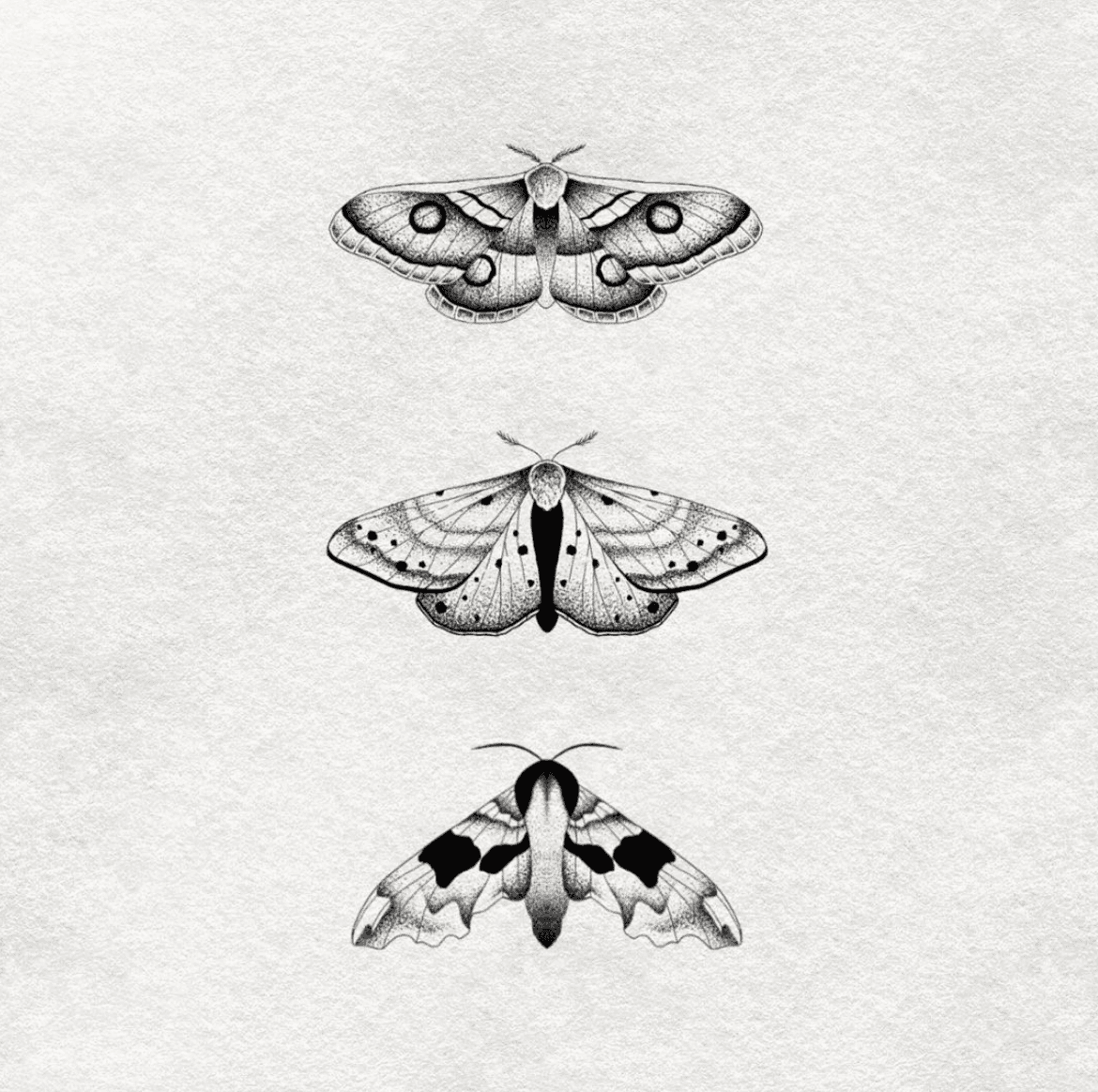 Inksearch tattoo Patrycja Surowiec