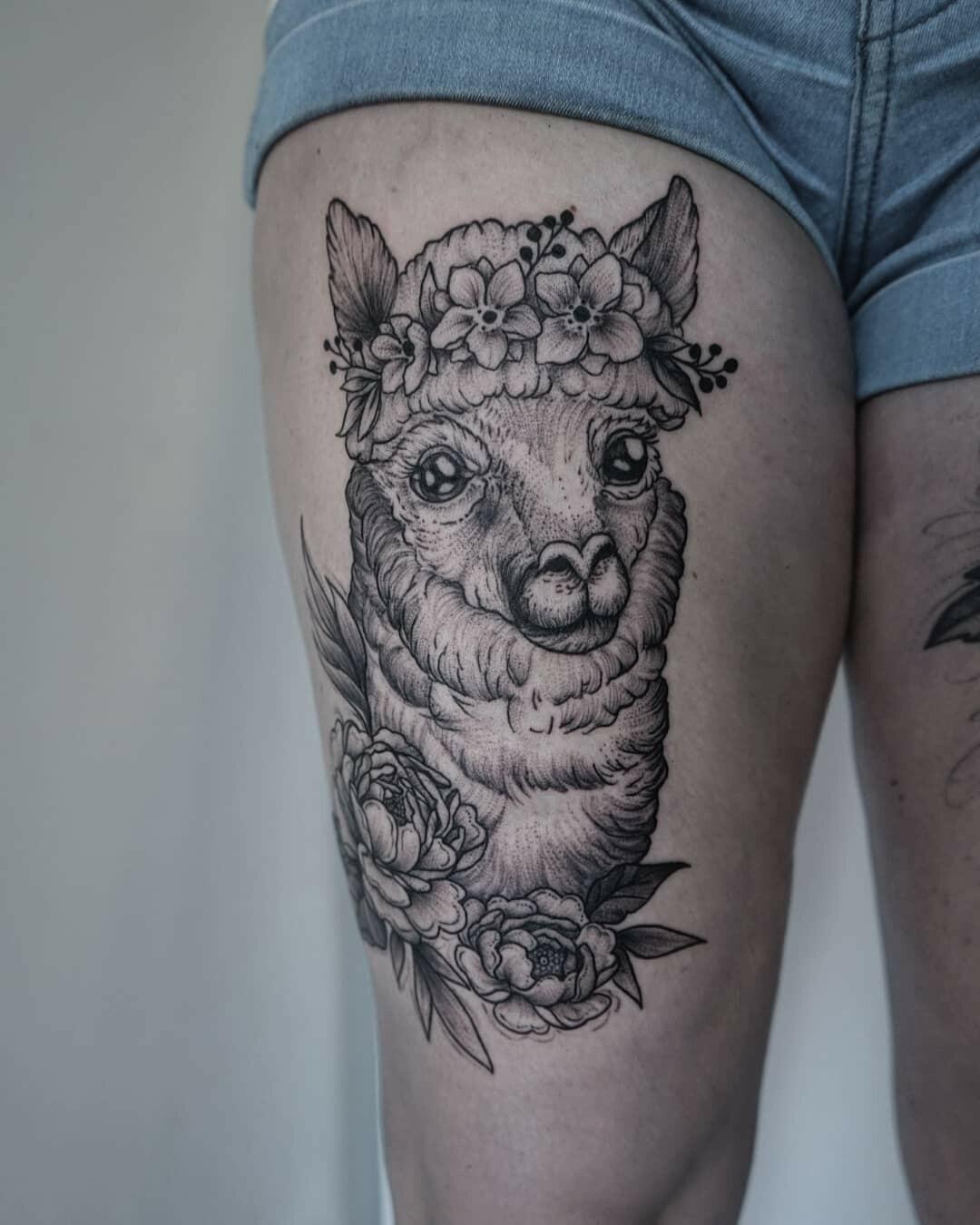 Inksearch tattoo Koti Tattoo Anna Pękala