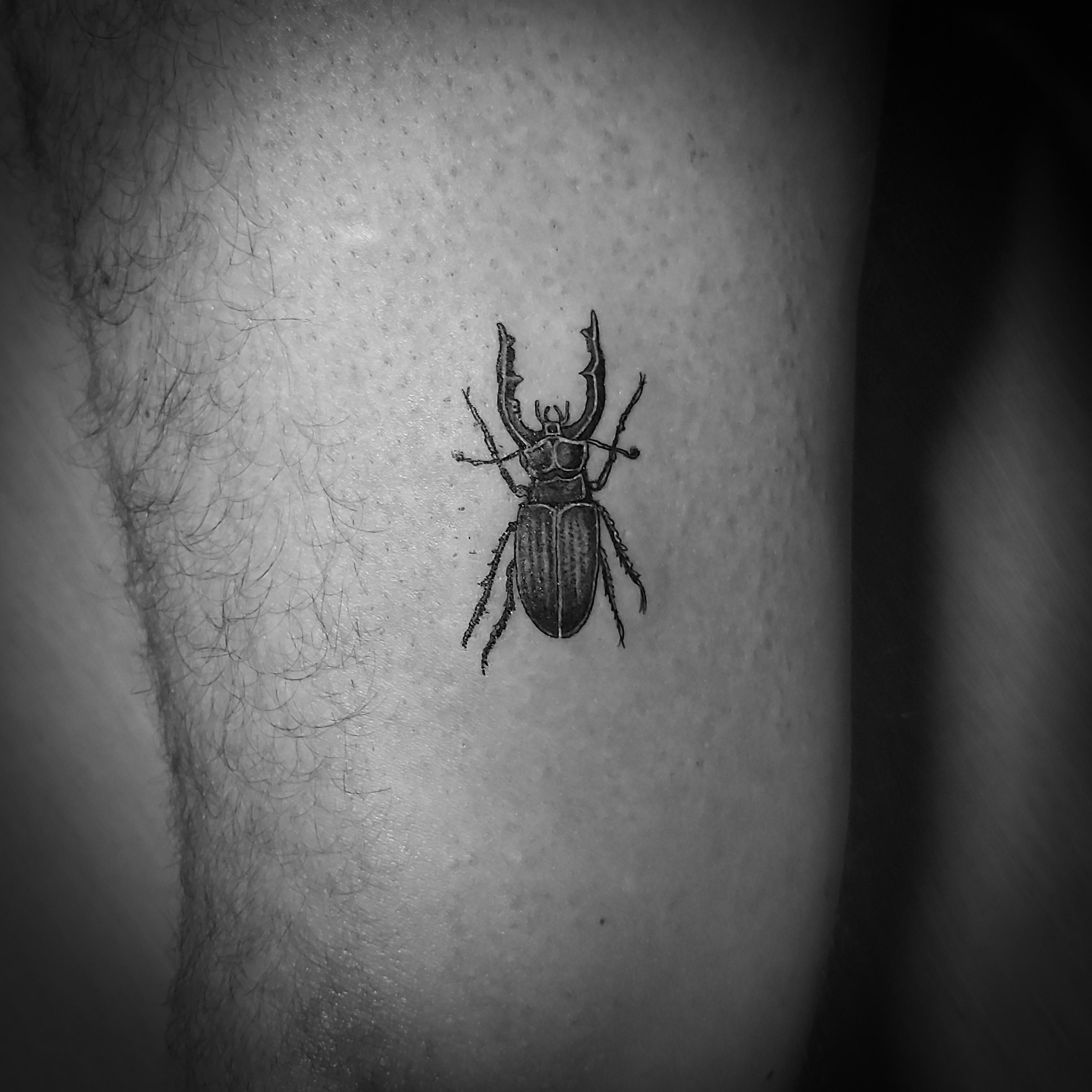 Inksearch tattoo Karel_tattoo