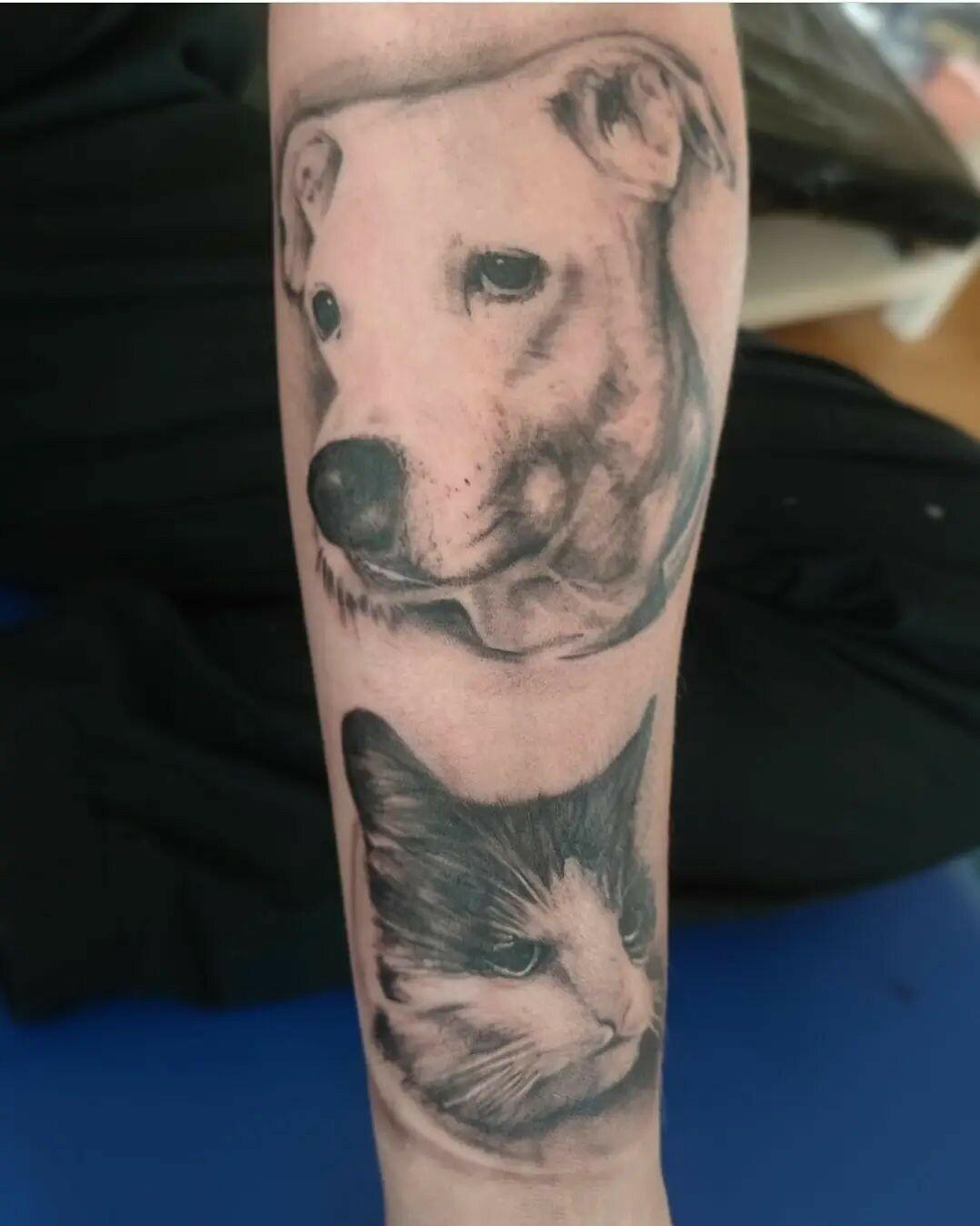 Inksearch tattoo Nautilus Tattoo Studio