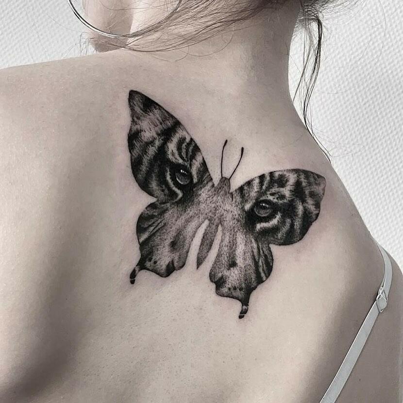 Inksearch tattoo Nautilus Tattoo Studio