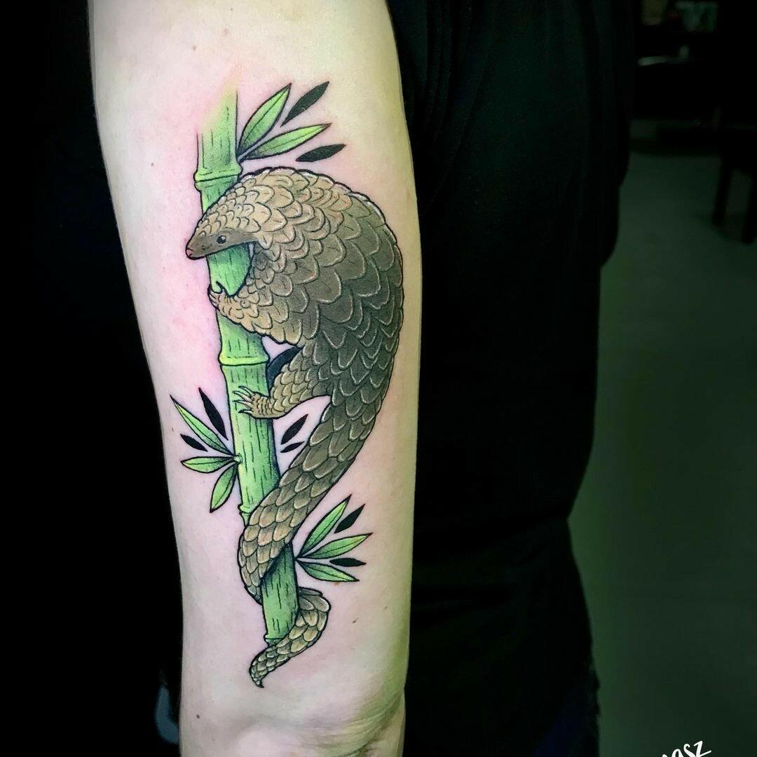 Inksearch tattoo Notomasz Tatuaż