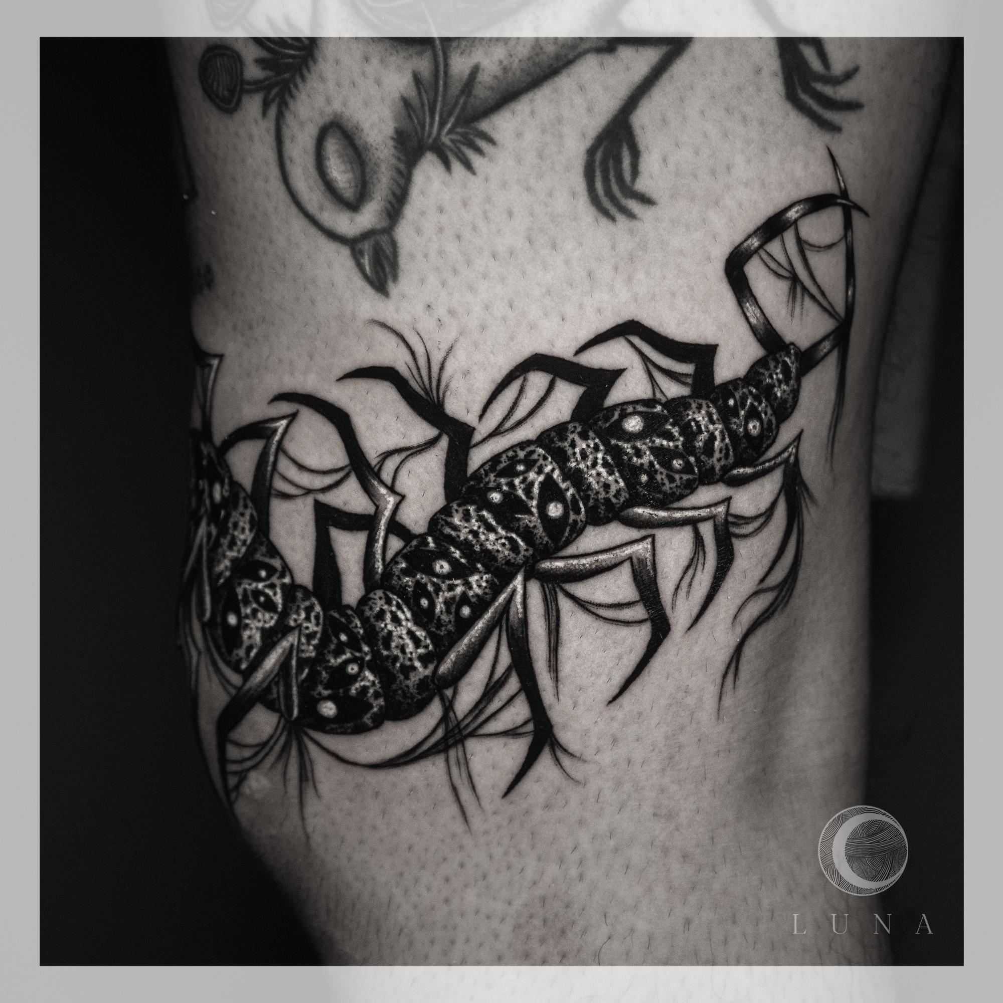 Inksearch tattoo luna tattoo
