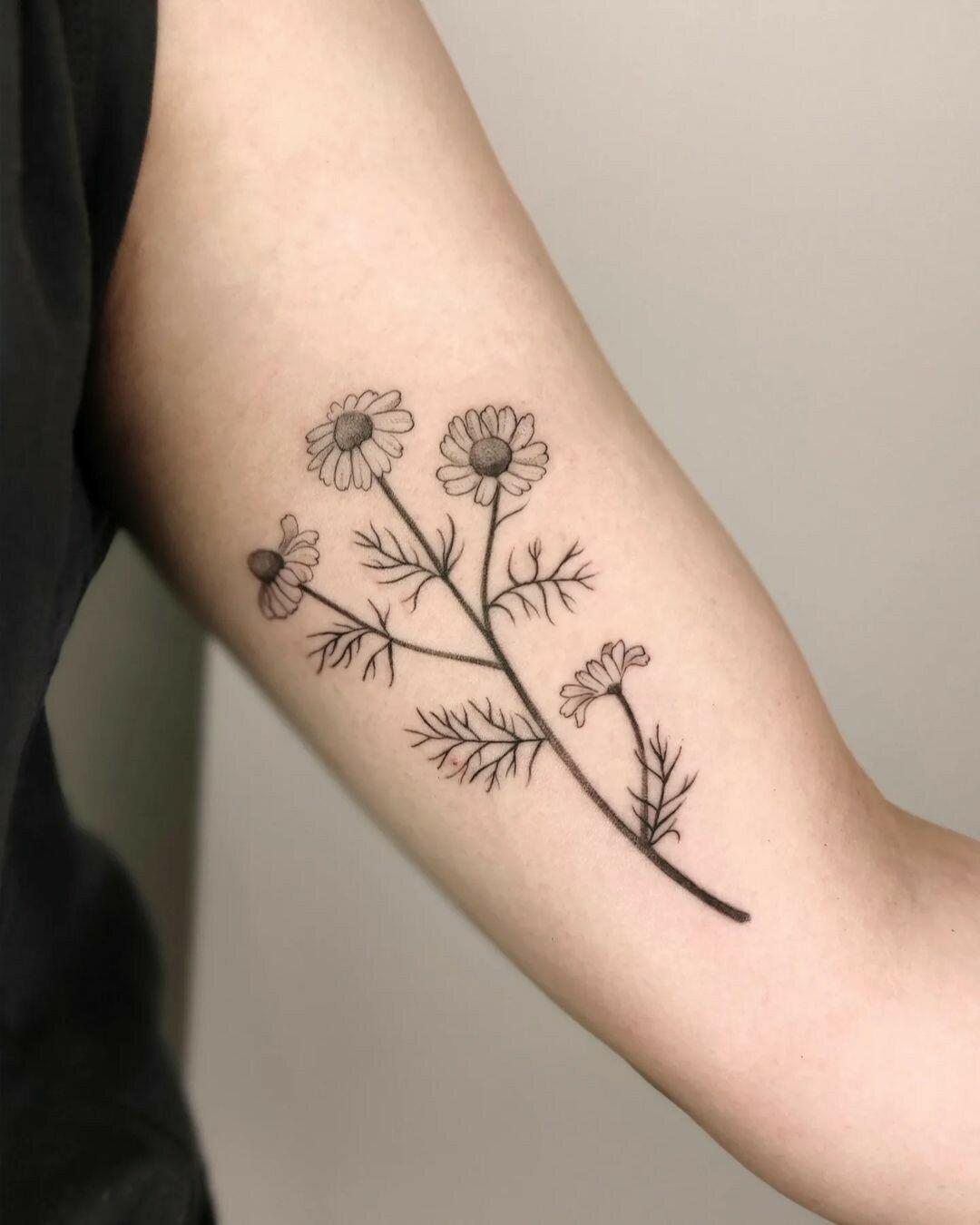 Inksearch tattoo Klarcia Dziarcia
