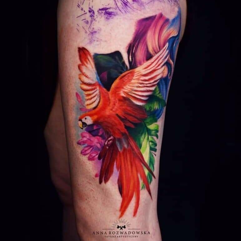 Inksearch tattoo Anna Rozwadowska tatuaże