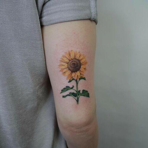 Carrot Tattoo - Dominika Rawska inksearch tattoo