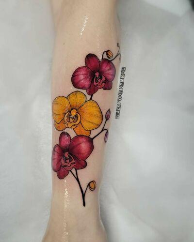Halko Tattoo Vegan Tattoos inksearch tattoo
