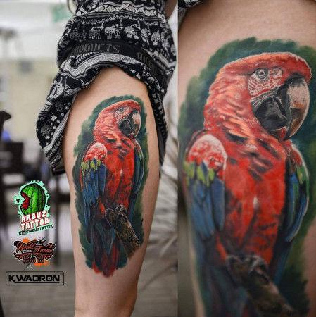 Dero Melancia inksearch tattoo