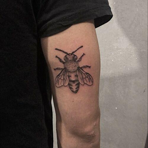 Sasia inksearch tattoo