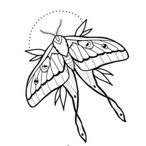 Crystal Tattoo Studio inksearch tattoo