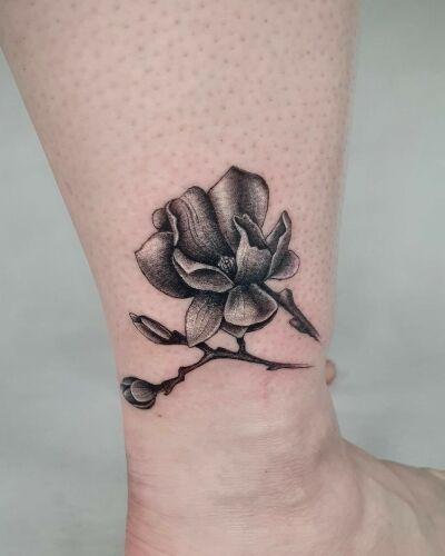 Black Moth Tattoo & Piercing inksearch tattoo