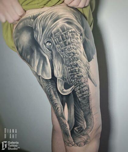 Galeria Tattoo Studio inksearch tattoo