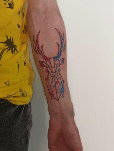 Freakyraccoon_tattoo inksearch tattoo