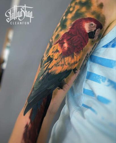 Tomasz Bujacz inksearch tattoo