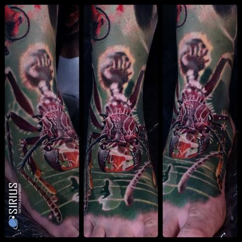 Marcin Polak - Insekt inksearch tattoo