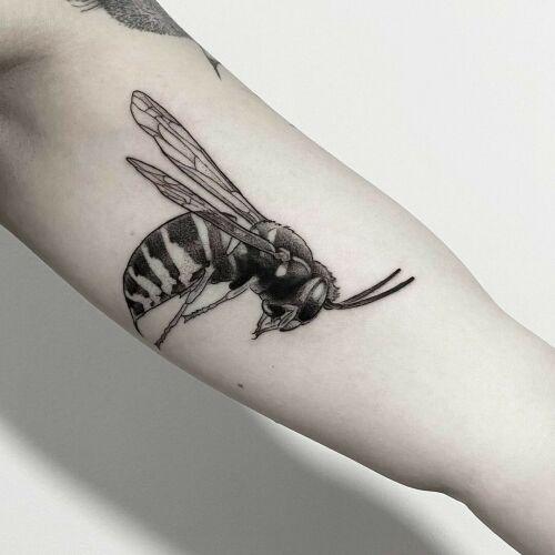 Karol Sutura inksearch tattoo