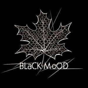 Black Mood Studio artist avatar